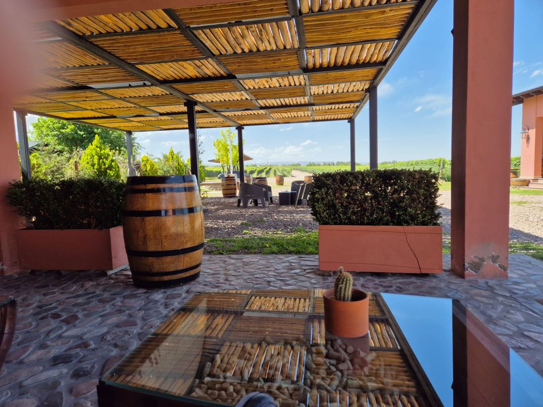 Galería de una bodega con vista a los viñedos