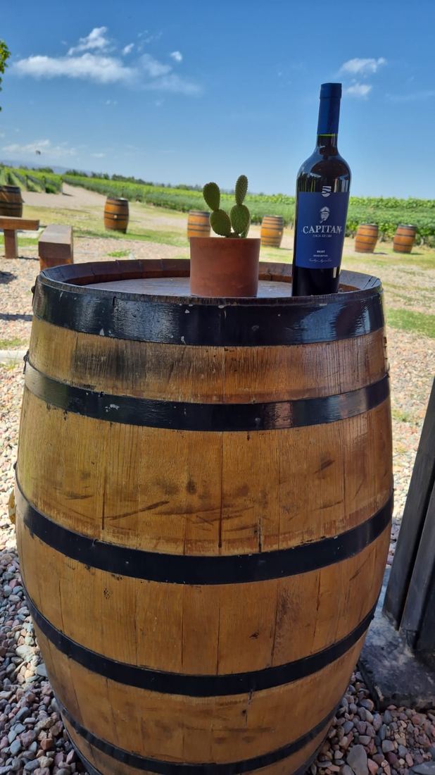 Botella de vino Malbec entre viñedos mendocinos